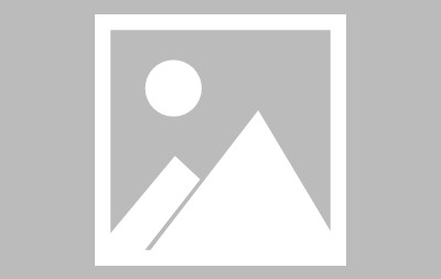 开云网页版中国官网-包含SHIB上扬势惊人，一夜飙升114%，加密市场沸腾的词条