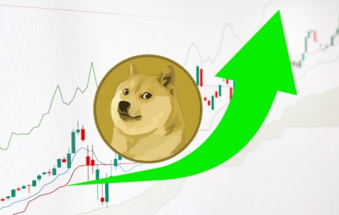Kaiyun开云中国官网-专家称OP将在年底冲破狗狗币美元，引发引发关注