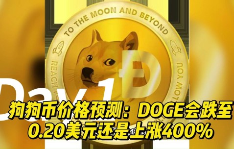 开云登录入口-专家称狗狗币将在年底冲破439美元，引发引发关注，引爆行情