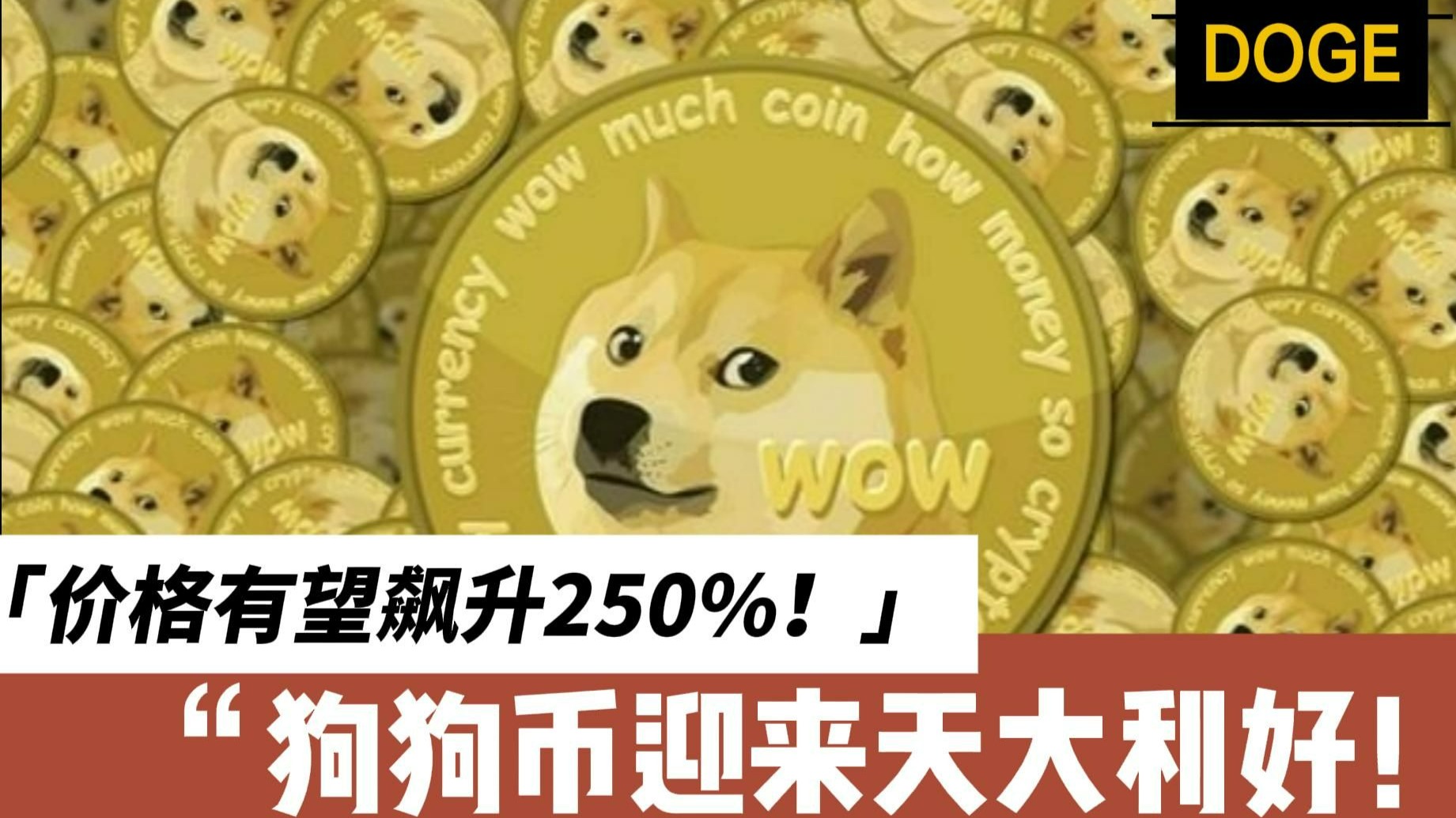 关于狗狗币走高势惊人，一夜飙升492%，加密市场沸腾，震惊市场的信息