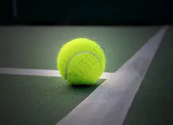 网球赛场再起风云：江汉青龙队惊险晋级东城火狐队，赛场气氛火爆球迷期待下一战的简单介绍